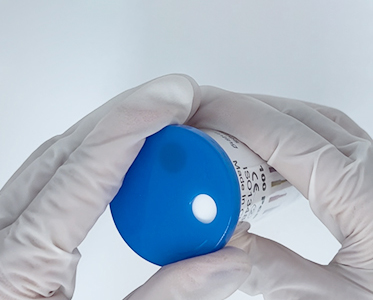 disposable micro applicator