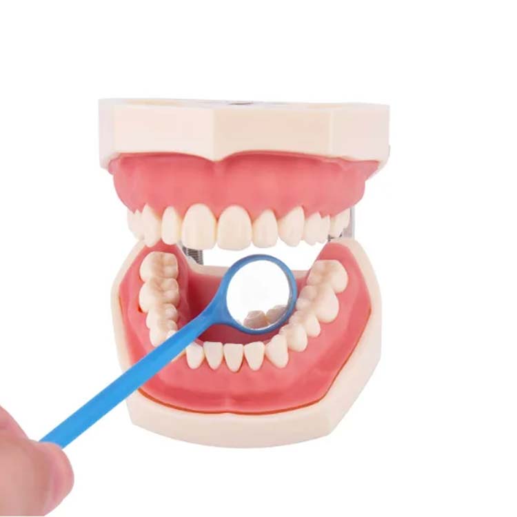disposable dental mirror disposable dental mirror